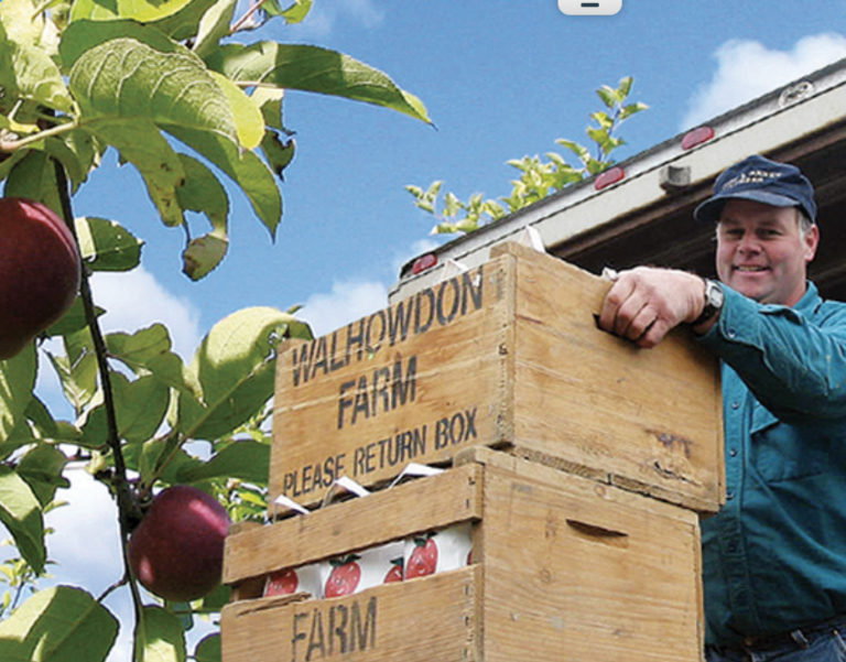 Upper Valley Apple Picking and Cider Patch Orchards VT/NH