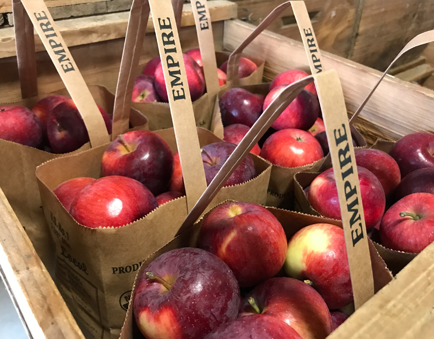 Apple Picking Near Me